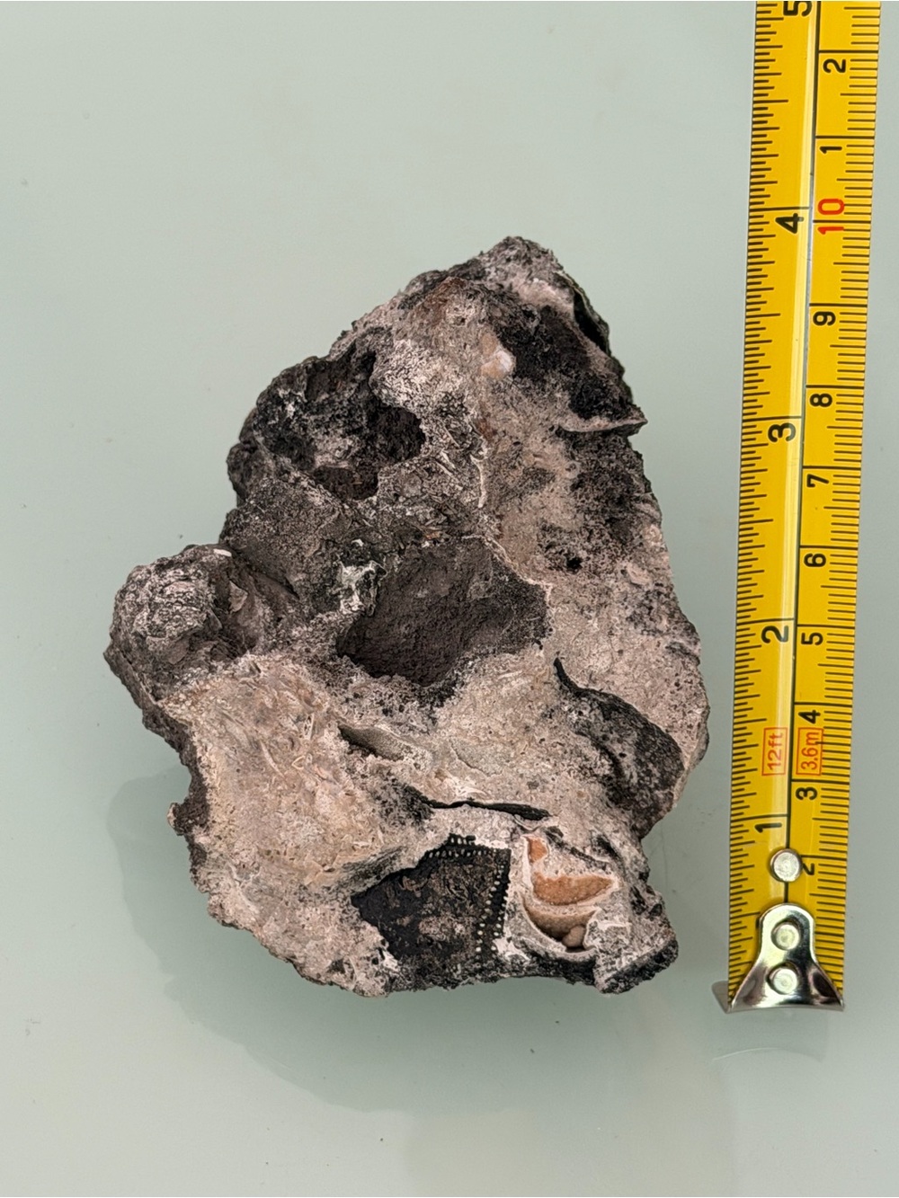 Large Unknown Specimen | Likely Volcanic | Interesting Impressions